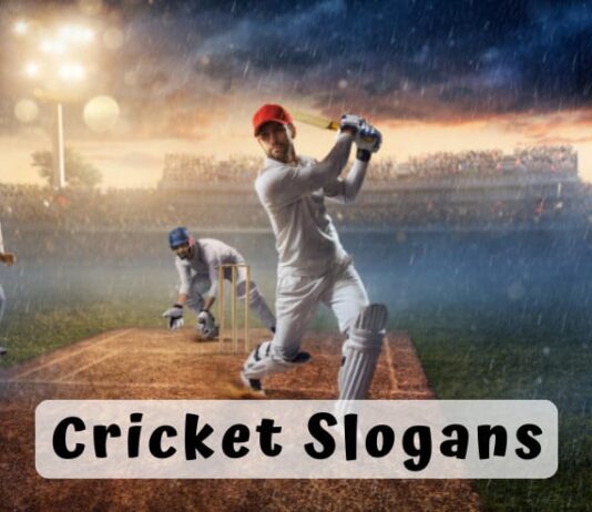 Funny Cricket Slogans