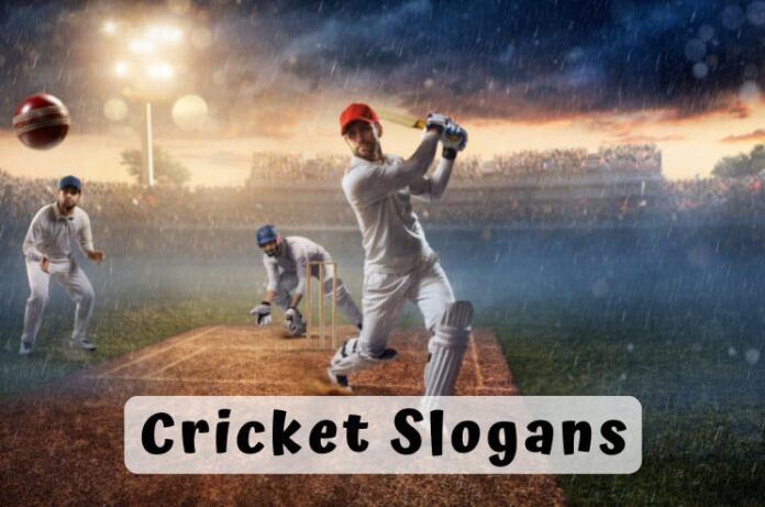 Funny Cricket Slogans