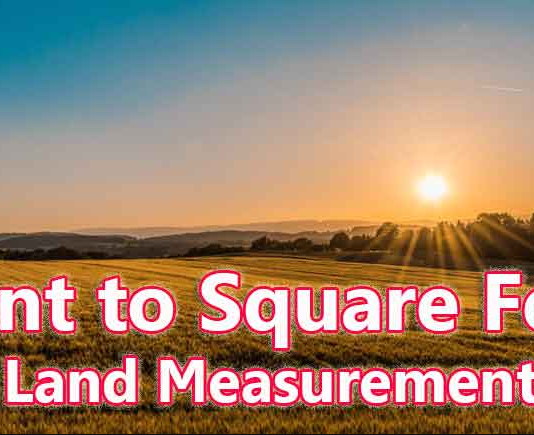 Understanding How to Converte Cent to Square Meter Conversion Online