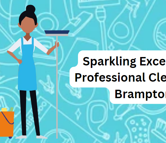 professional cleaners in Brampton