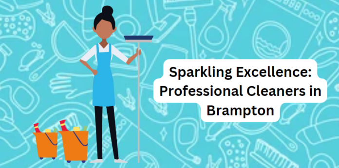 professional cleaners in Brampton