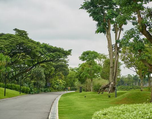 Landscaping for Well-Being