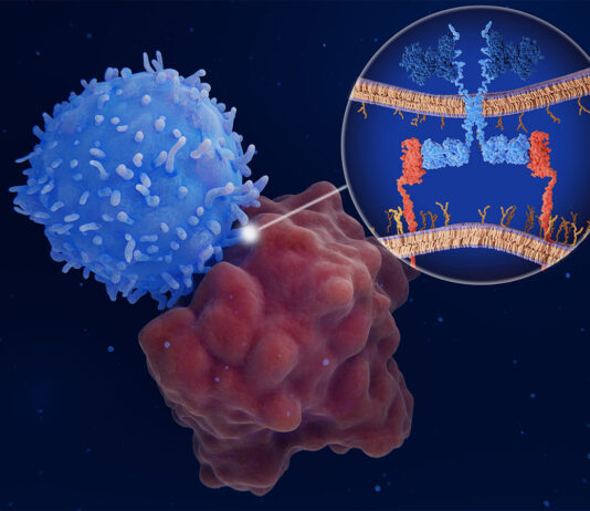 Allogeneic T Cell Therapies Market