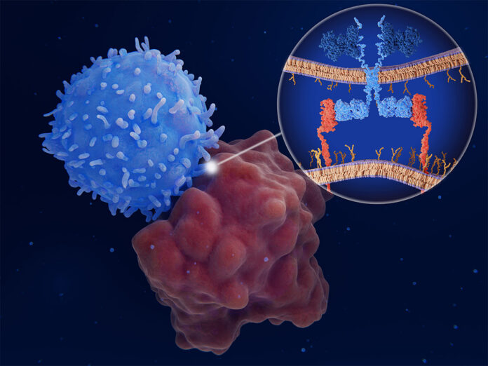 Allogeneic T Cell Therapies Market