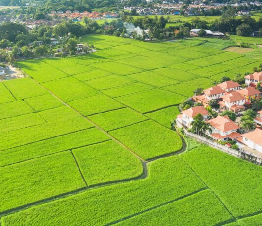 open plots in Srisailam Highway